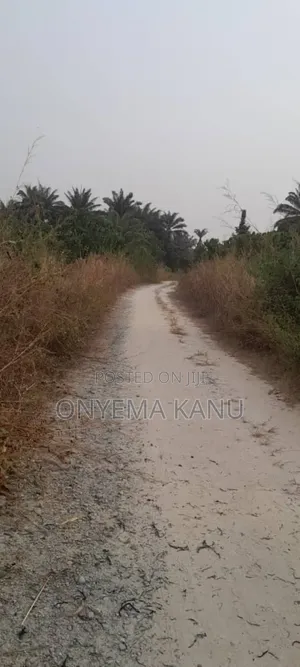 20 Fertile Plots for a Lucky Buyer.