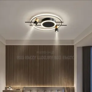 Modern Ceiling Mount Lights.