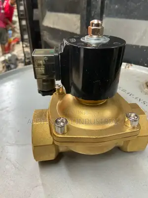 24v Solenoid Valve 2"