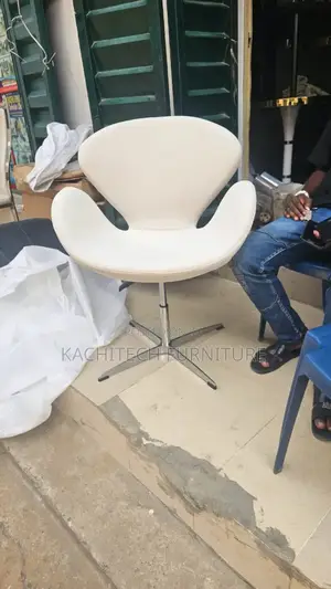 Egg Leisure Chair
