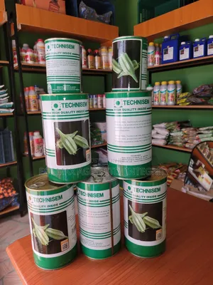 Kirikou Okra - Okro Seeds
