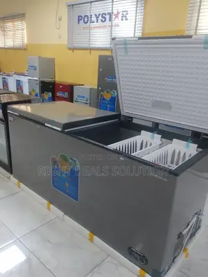 Polystar 600l Freezer – D D Powerhouse for Family Business Storage