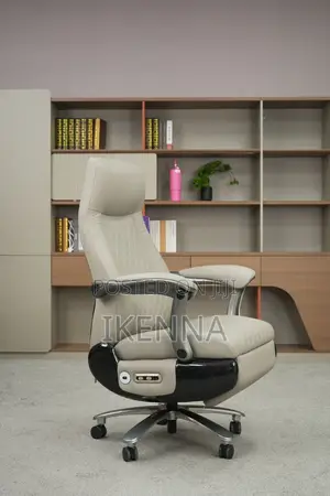 Executive Massage Office Chair