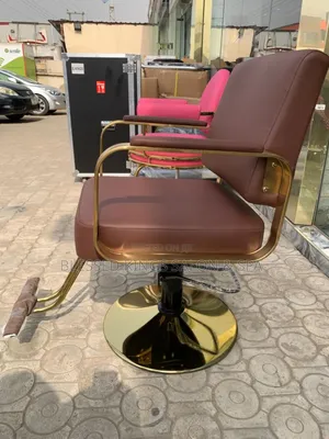 Brown Salon Styling Chair