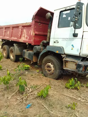 Man Dump Truck 2006 White for Sale
