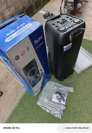 Ailipu Sp-3121d High-Power Rechargeable Audio Device