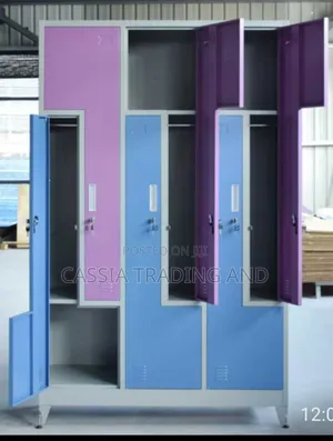 6 Door Multicolored Mini Wardrope