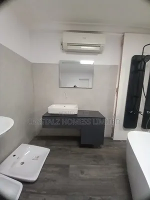 Geberit Water Closet With the Mirror