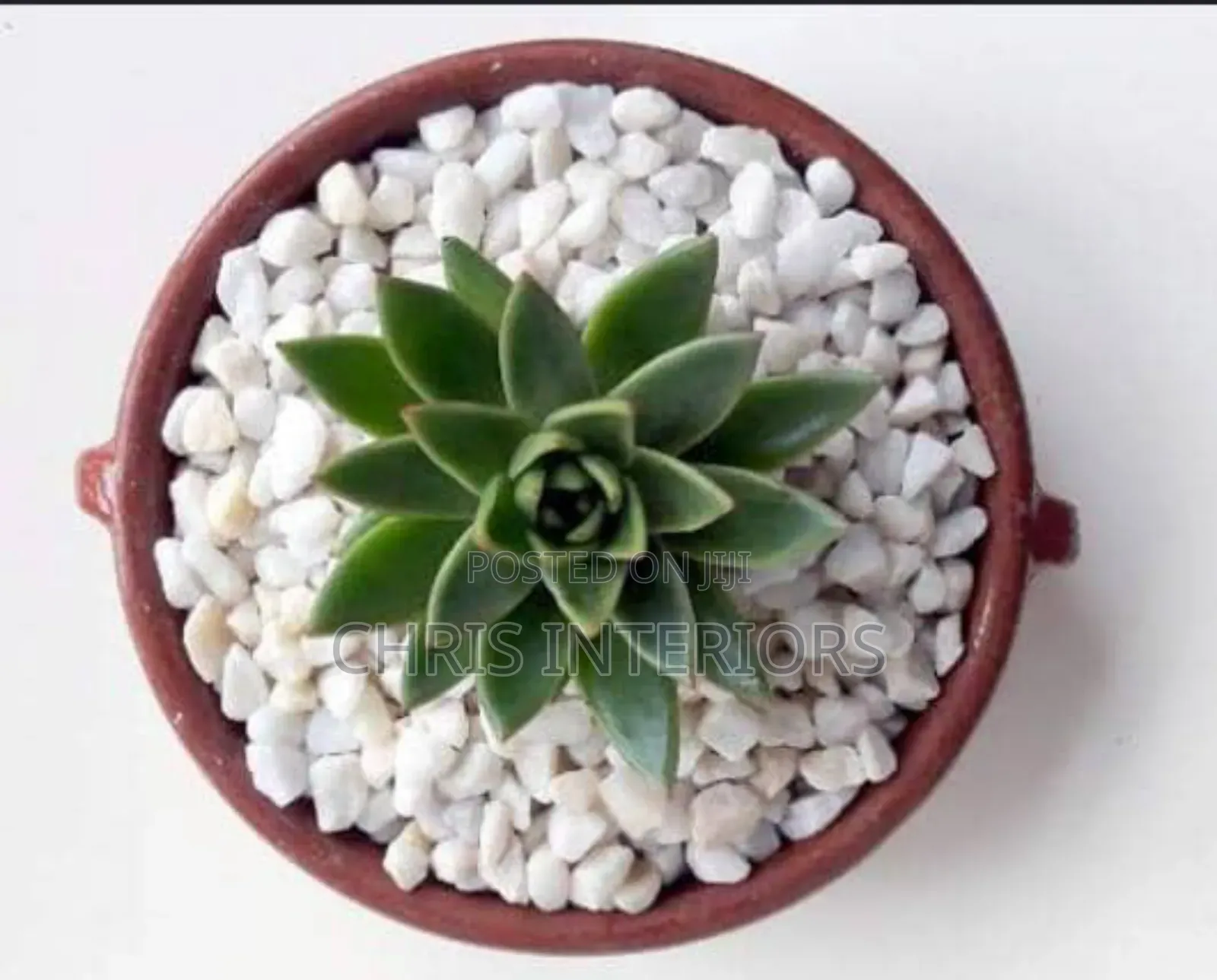 Stone White Decorations