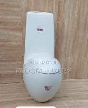 Egg Shaped Toilet