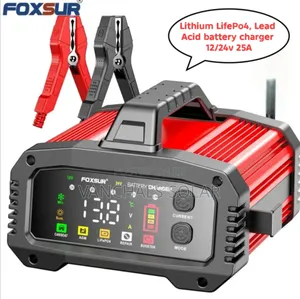 Lithium Lifepo4 Lead Acid Battery Charger 12v 25a/24v 15a