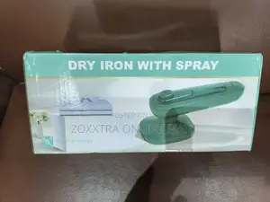 Mini Dry Iron With Spray
