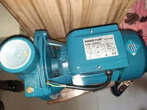 Winner Surface Pump