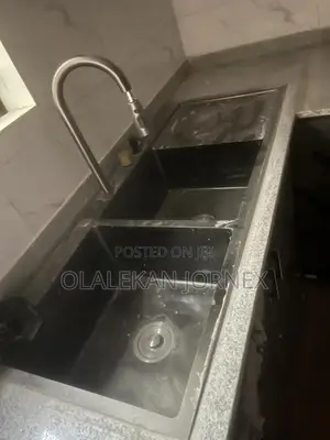 Professional Plumber