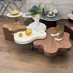 Modern Irregular Shape Coffee Table Set
