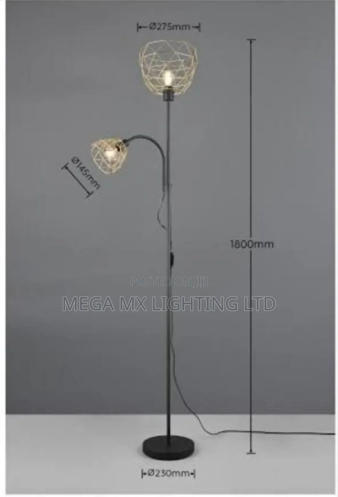 Decorative Light Floor Lamp