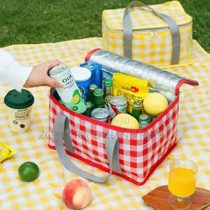 Insulated Picnic Bag