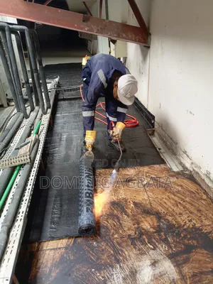 Noesis Roofing Waterproofing Expert