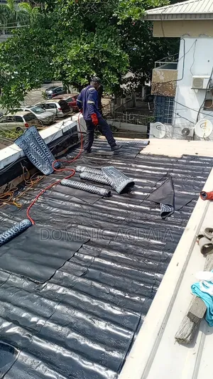 Interoception Roof Waterproofing