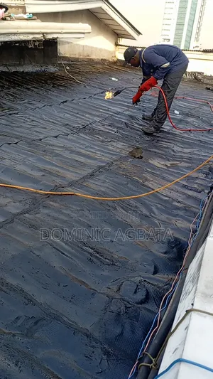 Enactivism Roof Waterproofing Genius