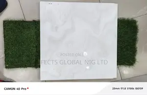 60*60 Glossy Floor Tiles