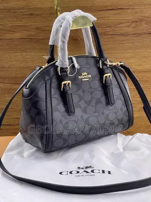 Coach Mini Sierra Satchel