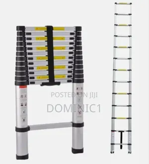 12 Steps Aluminum Telescopic Extension Ladder,