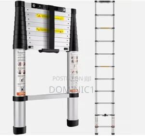 10 Steps Aluminum Telescopic Extension Ladder