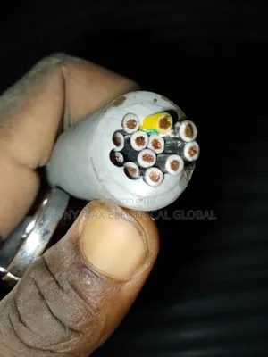 2.5mm 12core Tony Max Electric Cable