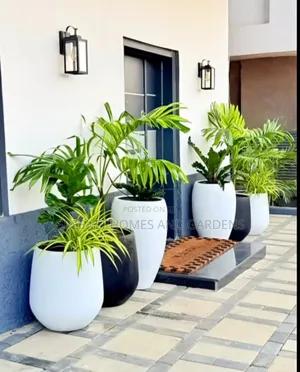 Plants Supply