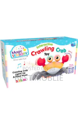 Rechargeable Crawling Frog Toy