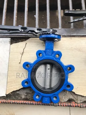 Lug Butterfly Valve Stainless Disc