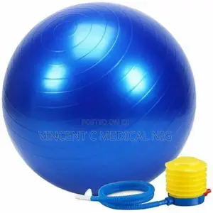 Gymnastics Fitness Ball