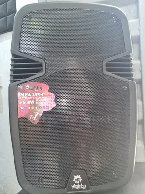 Mighty Public Address System 15-inch