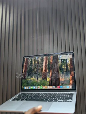 Laptop Apple MacBook Air 2025 M4 13-Inch 16GB Apple M4 SSD 256GB