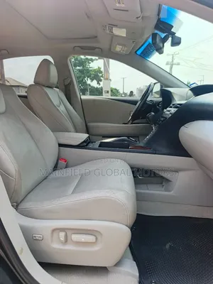Lexus RX 350 2010 Gray