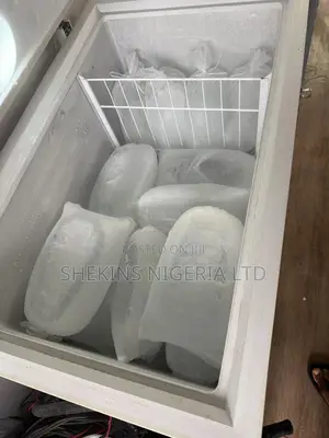 Ice Block in Bulk