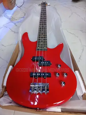 Fender Passive 4 String Bass Guitar