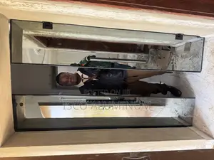Frameless Door