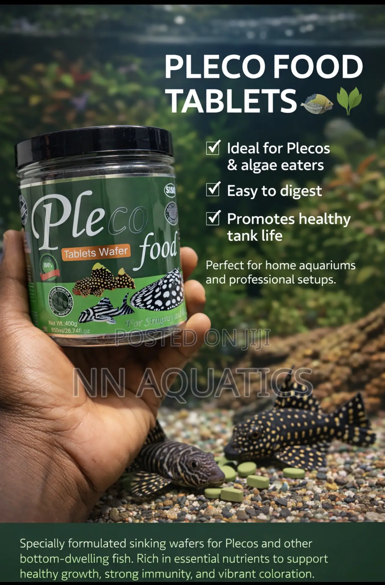 Pleco Food Tablet