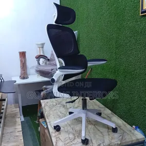 Ergonomic Mesh Office Chair (Executive Model)
