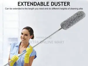 Extendable Duster