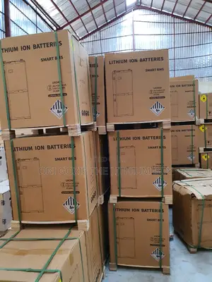 15kwh Blue Carbon Lithium Battery Smart Bms. Best Importer and Vendor