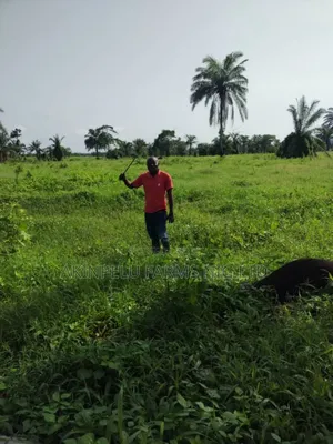 Farm Workers Needed
