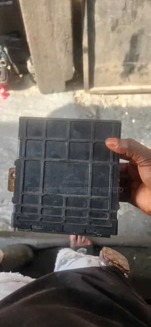 Brainbox for All Types of Suzuki