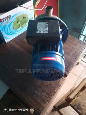 Ebara Surface Pump