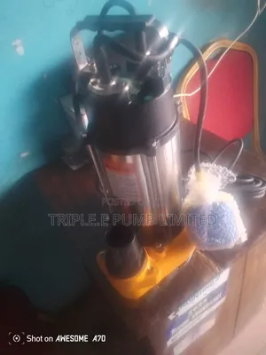 Ems Sewage Pump