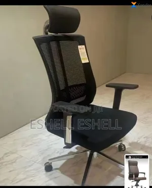 Executive Office Chair