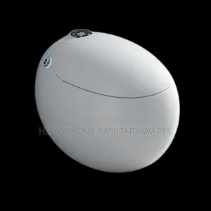 Sensitive Smart Water Closet ( W C)
