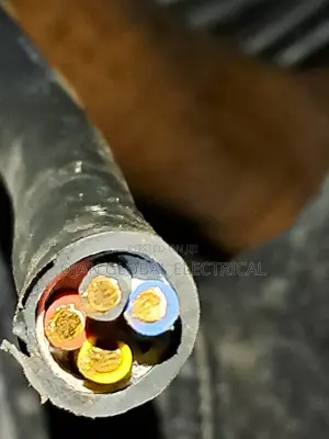4mmx4core Single Core PVC/PVC Nigerchin